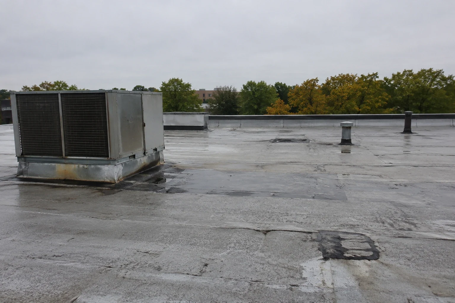 Roof Insurance Claim Assistance in Lowell, MA